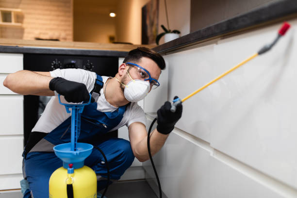 Best Mosquito Control Services  in Remsenburg Speonk, NY