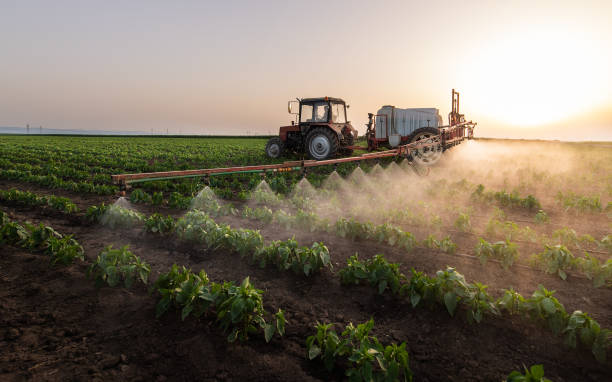 Best Commercial Pest Control Services  in Remsenburg Speonk, NY
