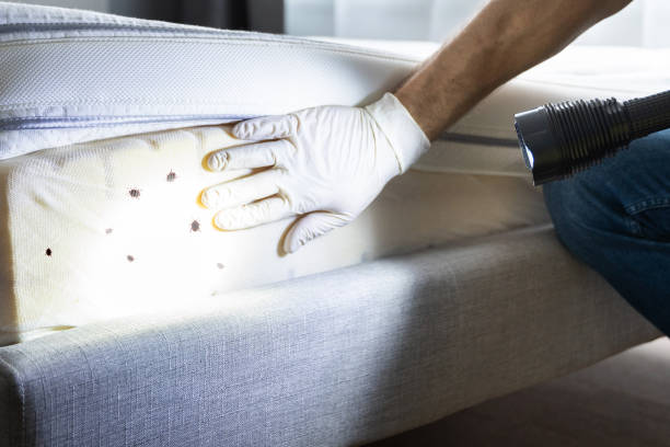 Best Best Pest Control Companies  in Remsenburg Speonk, NY