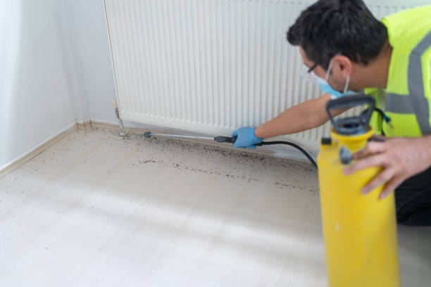 Best Best Pest Control Companies  in Remsenburg Speonk, NY