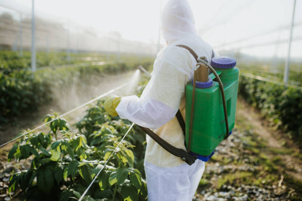 Trusted Remsenburg Speonk, NY Pest Control Experts